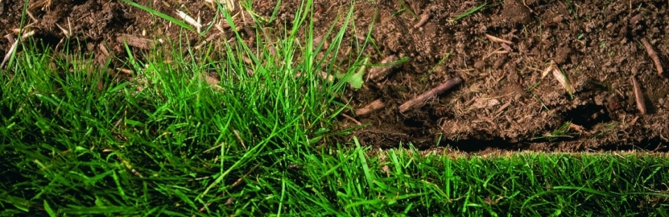 eliet_ks300pro_natuur.jpg